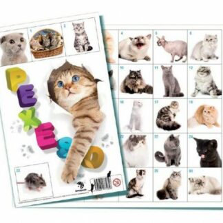 Mačky spoločenská hra 32 obrázkových dvojíc z kategórie Darčeky a hračky | Detské hry | Stolné hry kúpite na Kokiskashop.sk za 1.79 €.